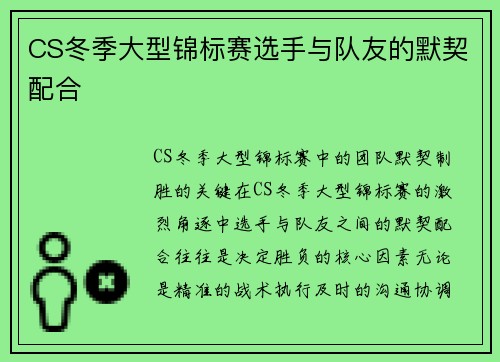 CS冬季大型锦标赛选手与队友的默契配合