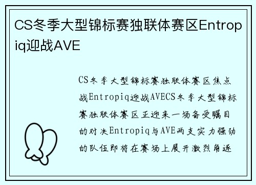 CS冬季大型锦标赛独联体赛区Entropiq迎战AVE
